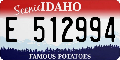 ID license plate E512994