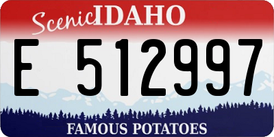 ID license plate E512997