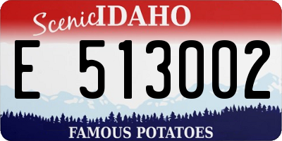 ID license plate E513002