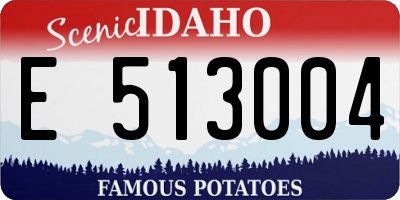 ID license plate E513004