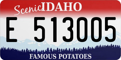 ID license plate E513005