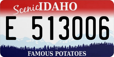 ID license plate E513006
