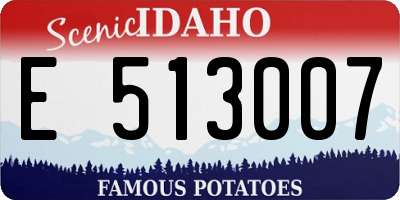 ID license plate E513007