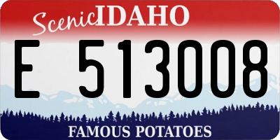 ID license plate E513008
