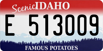 ID license plate E513009