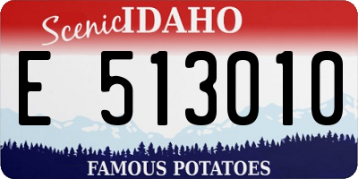 ID license plate E513010
