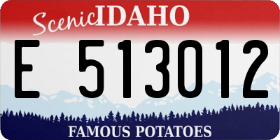 ID license plate E513012
