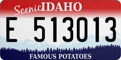 ID license plate E513013