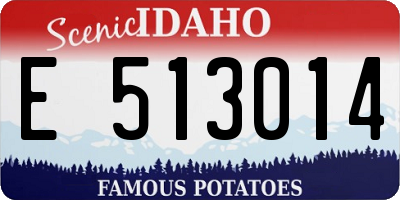 ID license plate E513014
