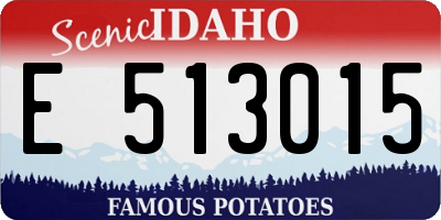 ID license plate E513015