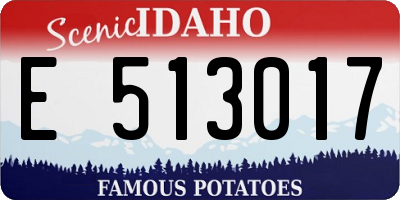 ID license plate E513017