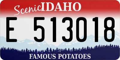 ID license plate E513018