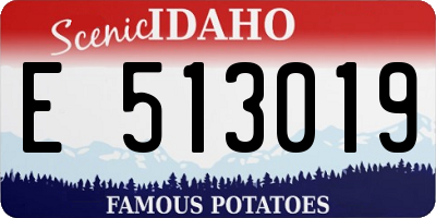 ID license plate E513019