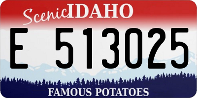 ID license plate E513025