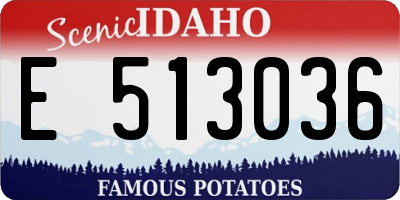 ID license plate E513036