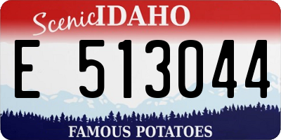 ID license plate E513044