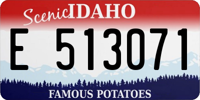 ID license plate E513071