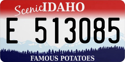 ID license plate E513085