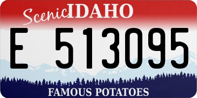 ID license plate E513095