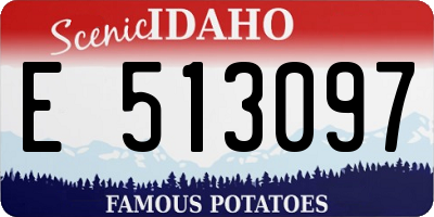 ID license plate E513097