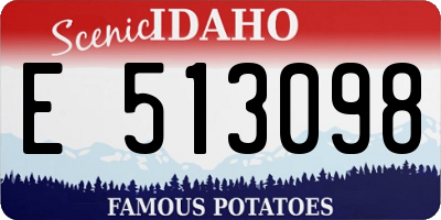 ID license plate E513098