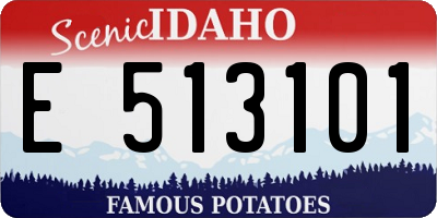 ID license plate E513101