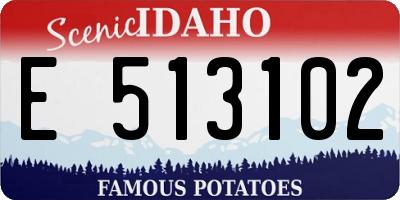 ID license plate E513102