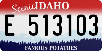 ID license plate E513103
