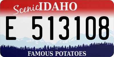 ID license plate E513108