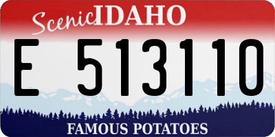 ID license plate E513110
