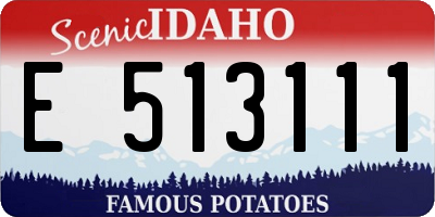 ID license plate E513111