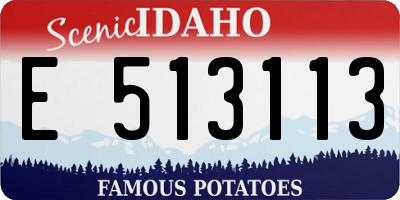 ID license plate E513113