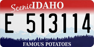 ID license plate E513114