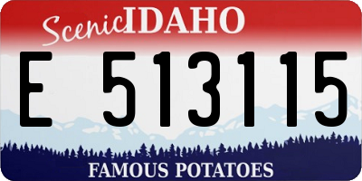 ID license plate E513115
