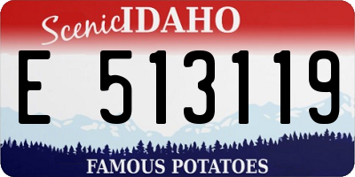 ID license plate E513119