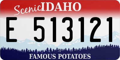 ID license plate E513121