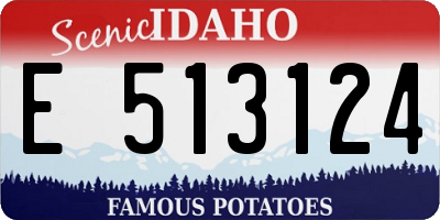ID license plate E513124