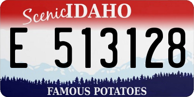 ID license plate E513128