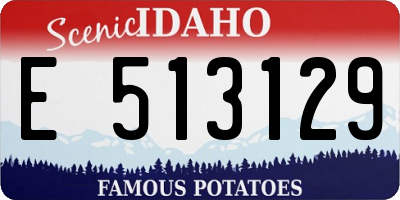 ID license plate E513129