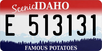 ID license plate E513131