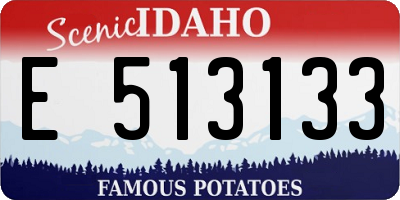 ID license plate E513133