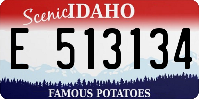 ID license plate E513134