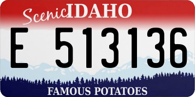 ID license plate E513136