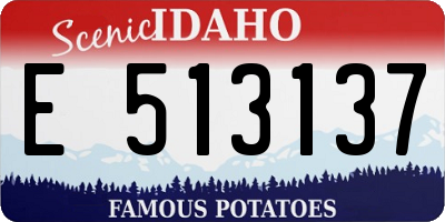 ID license plate E513137