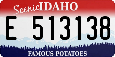 ID license plate E513138