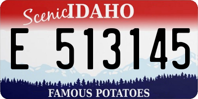 ID license plate E513145