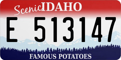 ID license plate E513147