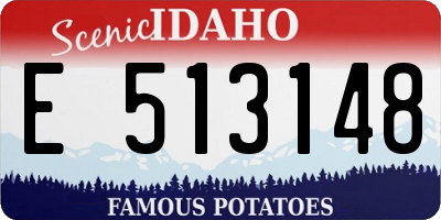 ID license plate E513148