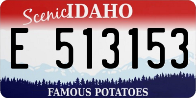 ID license plate E513153