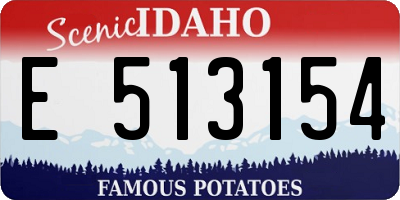 ID license plate E513154